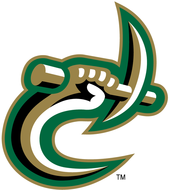 Charlotte 49ers 1998-Pres Secondary Logo custom vinyl decal